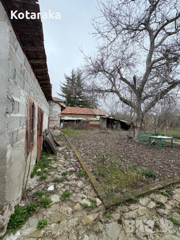 Къща в село Тюркмен, снимка 2 - Къщи - 54734995
