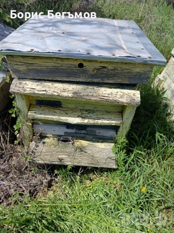 Кошери за пчели., снимка 4 - Други животни - 54258602