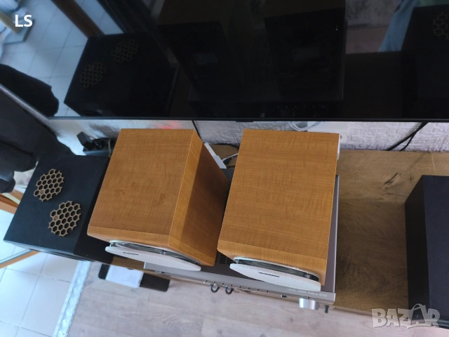 Букшелф тонколони Sony SS-CCP101, снимка 4 - Тонколони - 55130638