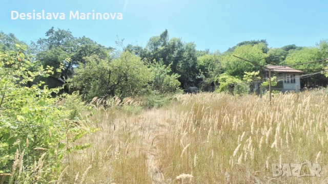 продавам парцел с ток и малка постройка Бровец - юг, снимка 4 - Парцели - 54818709