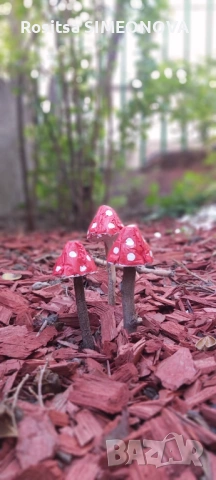 Декоративни гъбки , снимка 8 - Градински мебели, декорация  - 54573831