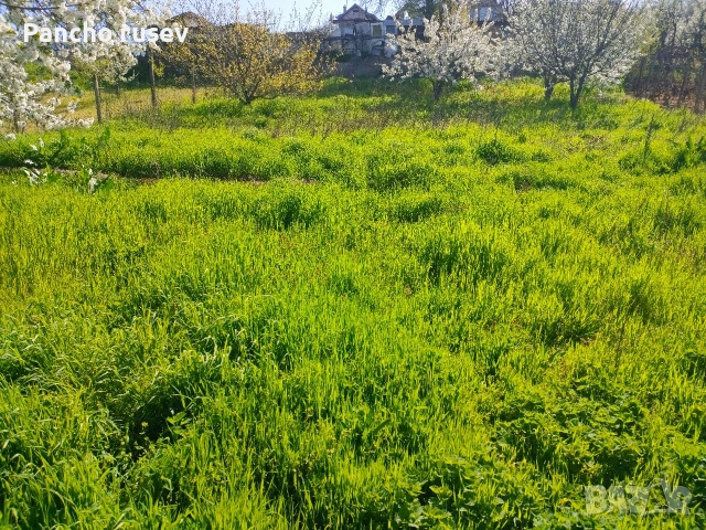 ХАМАЛСКИ И Транспортни услуги , снимка 3 - Хамалски услуги - 54390943