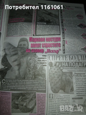 Вестници Телеграф Уикенд  Галерия ПРОМО 1лв за Телеграф, снимка 13 - Списания и комикси - 48500637
