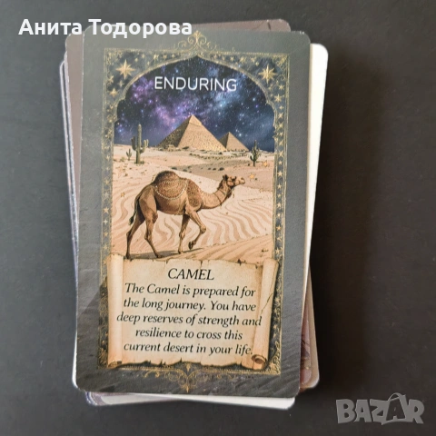 Animal oracle, снимка 3 - Карти за игра - 55068970