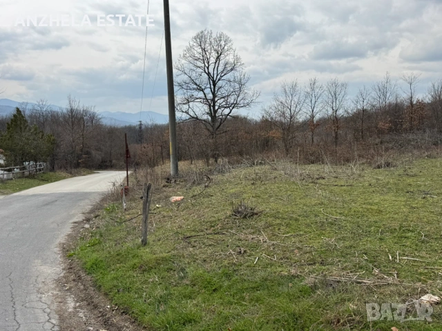 Земеделска земя за продажба село Голяма Желязна, местност Ловч.пътека, снимка 4 - Земеделска земя - 53959404