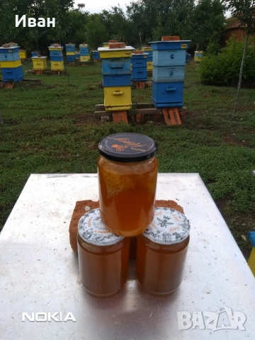 пчелни отводки, снимка 2 - За пчели - 54080460