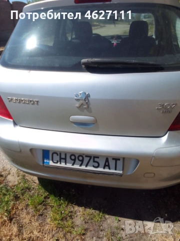 Peugeot 307, снимка 2 - Автомобили и джипове - 54321217
