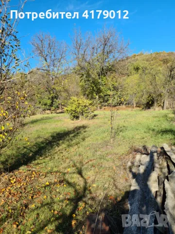 Къща (105кв) в град Костенец с двор 1206 кв., 80 000 €, снимка 3 - Къщи - 55366505