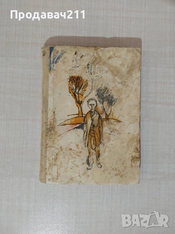Книга Малкият Добруджанин