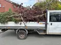 Косене къртене чистене извозване  хамали , снимка 1
