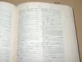 A Dictionary of URDU, CLASSICAL HINDI, AND ENGLISH II, 1959, снимка 8