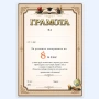 6742 Ученическа грамота за успешно завършване на 8, 9, 10, 11 и 12 клас, снимка 1