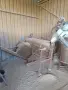 Машина/Линия за производство на пелети , снимка 5