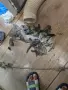 Отпушване на тоалетни мивки сифони До 15 минути на адрес, снимка 4