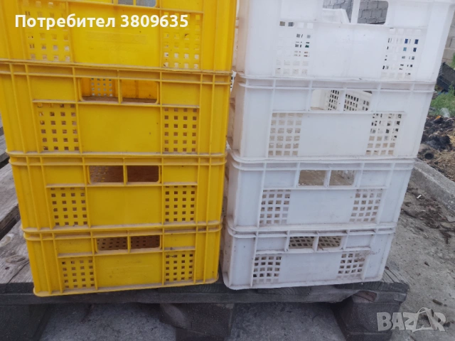 Каси за плодове и зеленчуци