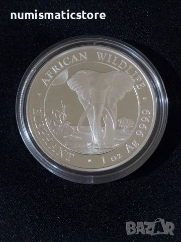 Сомалия 2025 - 100 Шилинга - Слон, 1 OZ - Сребърна монета, 1 унция, снимка 2 - Нумизматика и бонистика - 54496577