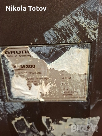 Продават се тонколони Grundig BOX-M300. , снимка 6 - Тонколони - 54620311