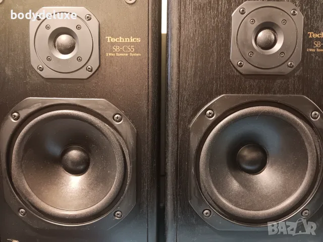 Technics sb-cs5 двулентови тонколони