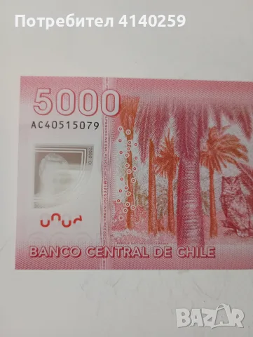 ЧИЛИ БАНКНОТА 5000 ПЕСОС , снимка 4 - Нумизматика и бонистика - 55528295
