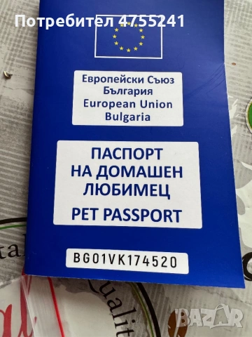 Женско кастрирано,ваксинирано с чип и паспорт коте, снимка 2 - Други - 54704485