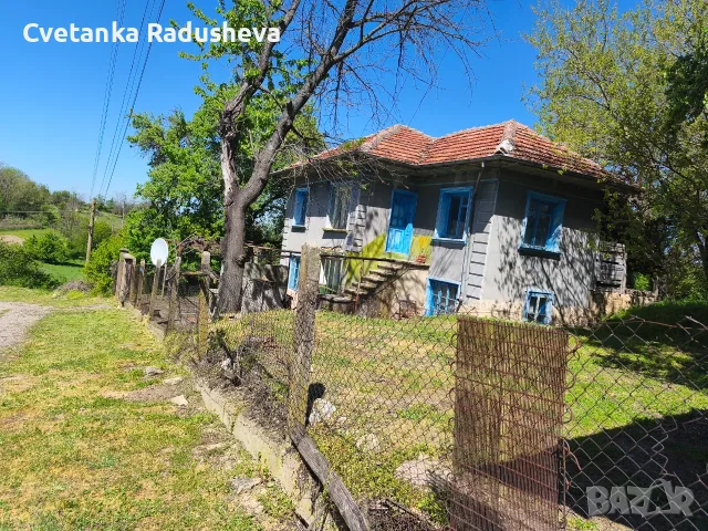 Продавам къща и двор с изглед към р. Дунав, снимка 6 - Къщи - 55469993