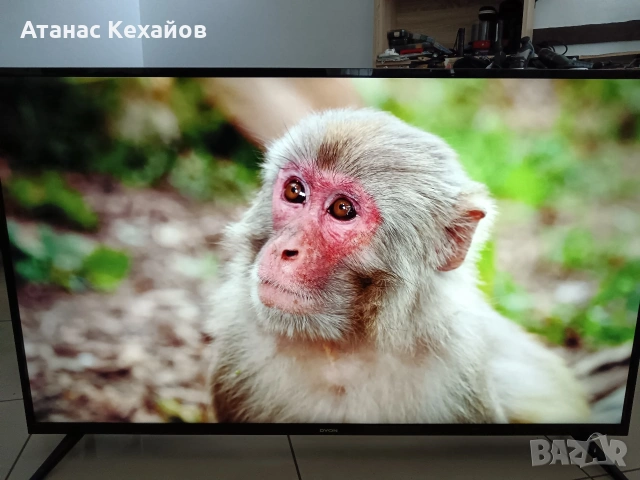 ТВ. DYON Movie smart XT 49, снимка 2 - Телевизори - 55134669