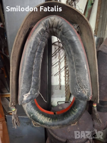 Хамут за кон, снимка 3 - Коне - 54174554