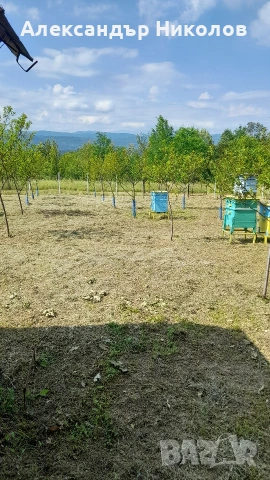 Продава се парцел в село Пецовци, снимка 6 - Парцели - 55091766