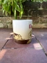 Много рядка чаша Starbucks England Global Icon Collection Shakespeare 16oz Collector Coffee Cup Mug , снимка 5