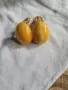 балтийски кехлибар. кехлибар, снимка 4