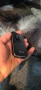  Oтварящ телефон Emporia PURE 4G 1.5GB /1.5GB 1300mAh LTE Черен, снимка 5