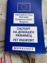 Женско кастрирано,ваксинирано с чип и паспорт коте, снимка 2