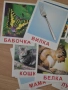 Образователни карти за дете, на руски език , снимка 2