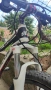 Планински велосипед (MTB) Shockblaze Enemy T9 Pro, снимка 12