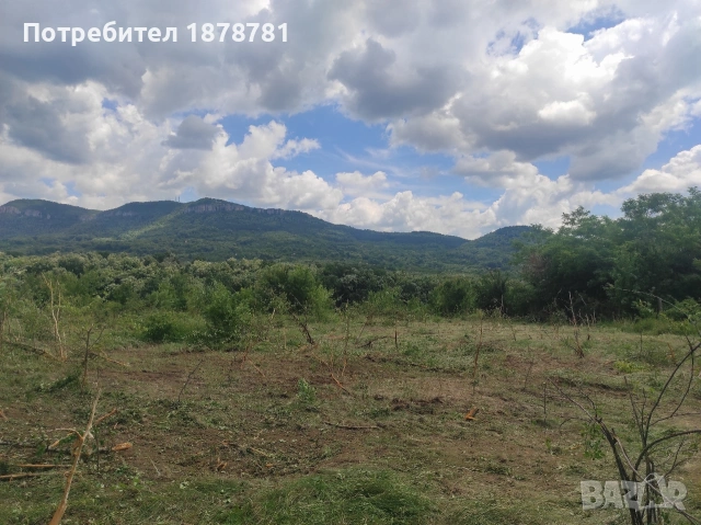 Парцел на главен път Враца Оряхово , снимка 3 - Парцели - 54773815