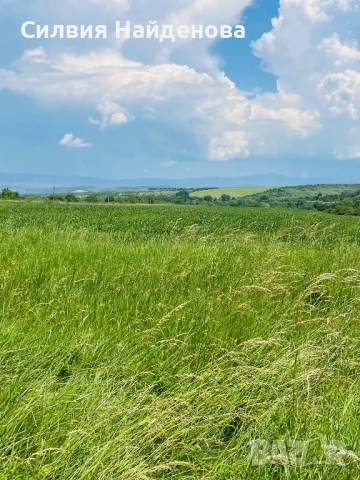 Продавам парцел с.Нови хан, кв.Побит камък, снимка 7 - Парцели - 51365602