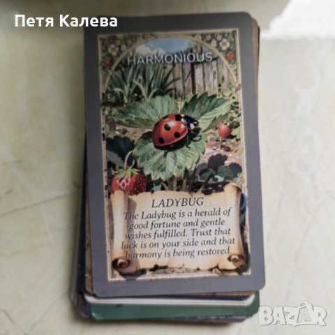 Animal Oracle , снимка 2 - Карти за игра - 54941437