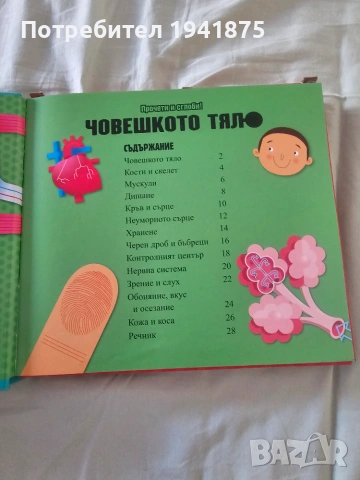 ФЮТ Прочети и сглоби Човешкото тяло и Как виждаме светлината, снимка 3 - Образователни игри - 55170823