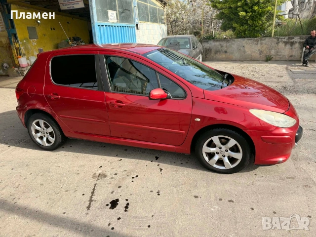 Peugeot 307 , снимка 3 - Автомобили и джипове - 54252290