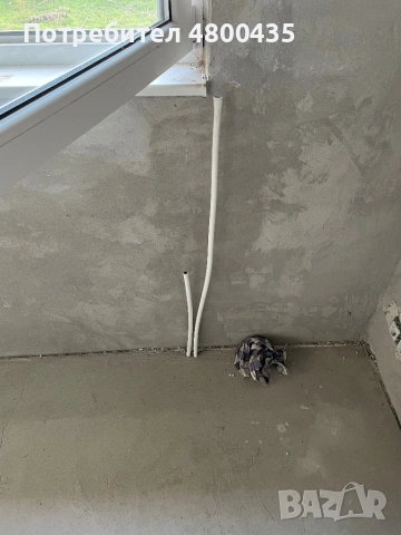 Бунгало в близост до река Дунав в Муцеливо | голям парцел и потенциал, снимка 17 - Къщи - 54233139