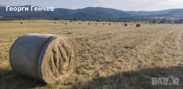 Продавам Рулонни Бали Сено, село Ковачевци, Самоковско, снимка 2 - За селскостопански - 55314060