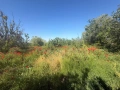 Продава се къща с голям двор в с. Щипско, община Вълчи дол, снимка 2