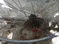 Колело ктм  ktm , снимка 2