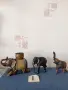 Стари дървени статуи на животни, от различни автори, години, държави. , снимка 3