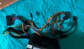 Захранване ATX 600 W, снимка 4