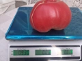 Розови домати , снимка 7