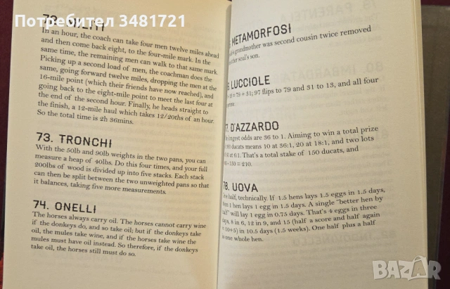 Адските логически загадки на Данте / Dante's Infernal Puzzle Collection, снимка 7 - Енциклопедии, справочници - 54244180