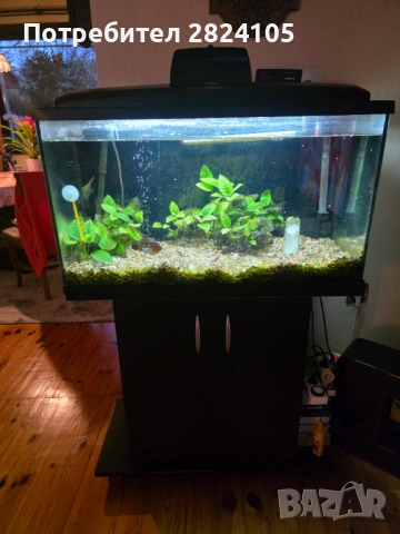 подарявам аквариум