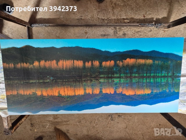 Картини 2 бр