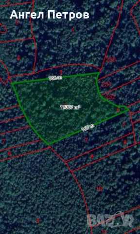 Гора село Долна Бела Речка, общ. Вършец